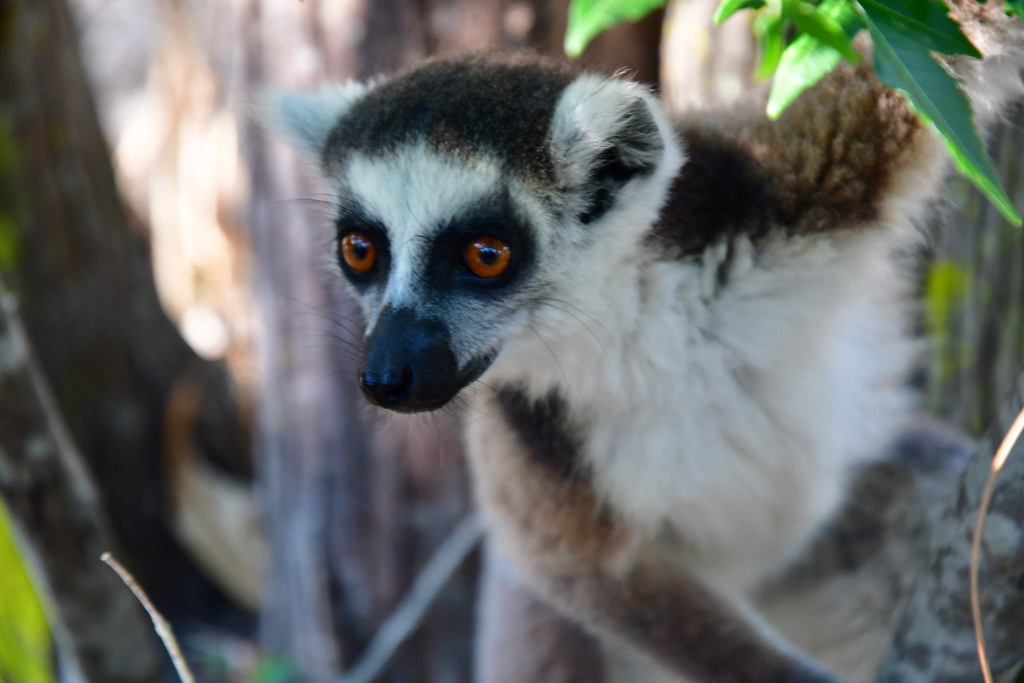 Anja Community Reserve